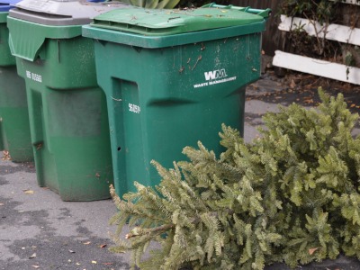 Christmas Tree Recycle NEWS
