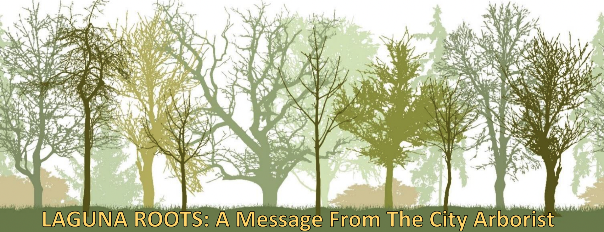 City Arborist Message