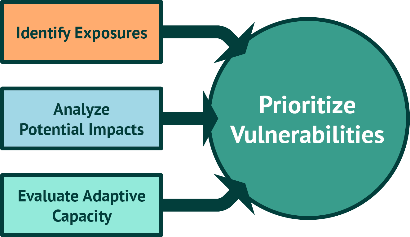 Vulnerability Assessment_Process_Graphic_v04