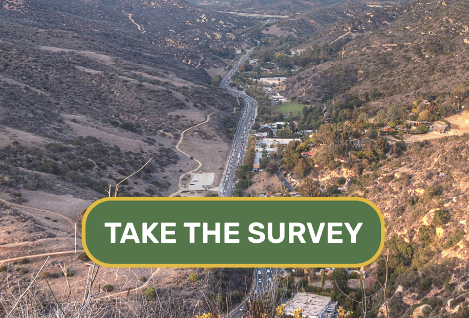 Take the Laguna Canyon Road Survey