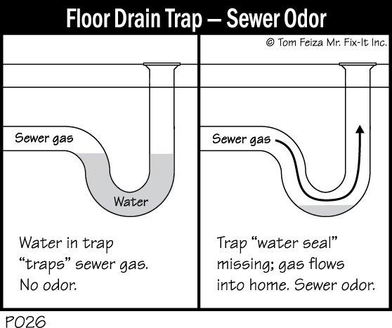 Grpahic of U pipe and how to fix stinky sewer smells in the Home